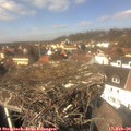 13_10-nest.jpg
