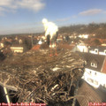 13_15-nest.jpg