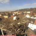 13_20-nest.jpg