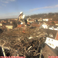 13_25-nest.jpg