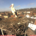 13_30-nest.jpg