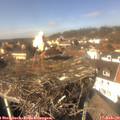 13_35-nest.jpg