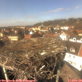 13_40-nest.jpg