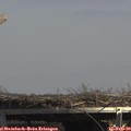 13_45-mast.jpg