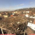 13_45-nest.jpg