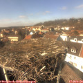 13_50-nest.jpg