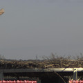 13_55-mast.jpg