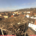 13_55-nest.jpg
