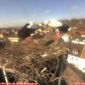14_00-nest.jpg