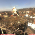 14_05-nest.jpg