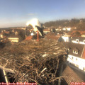 14_10-nest.jpg