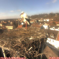 14_15-nest.jpg