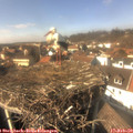 14_20-nest.jpg