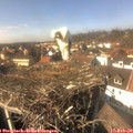 14_25-nest.jpg