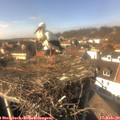 14_30-nest.jpg