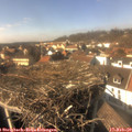 14_35-nest.jpg