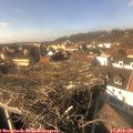 14_40-nest.jpg