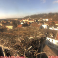 14_50-nest.jpg