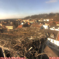 14_55-nest.jpg