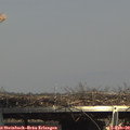 15_00-mast.jpg