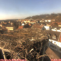 15_00-nest.jpg