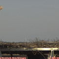 15_05-mast.jpg