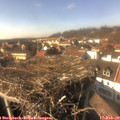 15_05-nest.jpg
