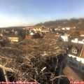 15_15-nest.jpg