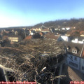 15_50-nest.jpg
