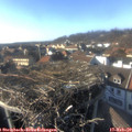 15_55-nest.jpg