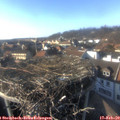 16_00-nest.jpg