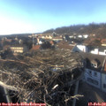16_05-nest.jpg