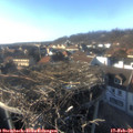 16_10-nest.jpg