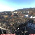 16_15-nest.jpg