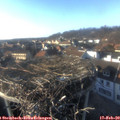 16_20-nest.jpg