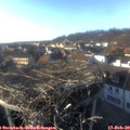 16_25-nest.jpg