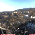 16_30-nest.jpg