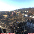 16_35-nest.jpg