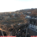 17_15-nest.jpg