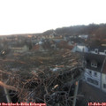 17_25-nest.jpg