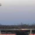 17_30-mast.jpg
