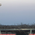 17_35-mast.jpg