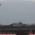 07_35-mast.jpg