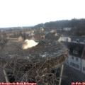 07_40-nest.jpg