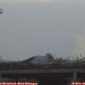 07_50-mast.jpg
