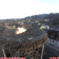 07_55-nest.jpg