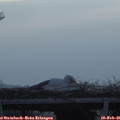 08_00-mast.jpg