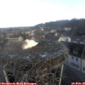 08_00-nest.jpg