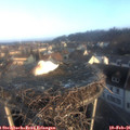 08_05-nest.jpg