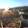 08_15-nest.jpg